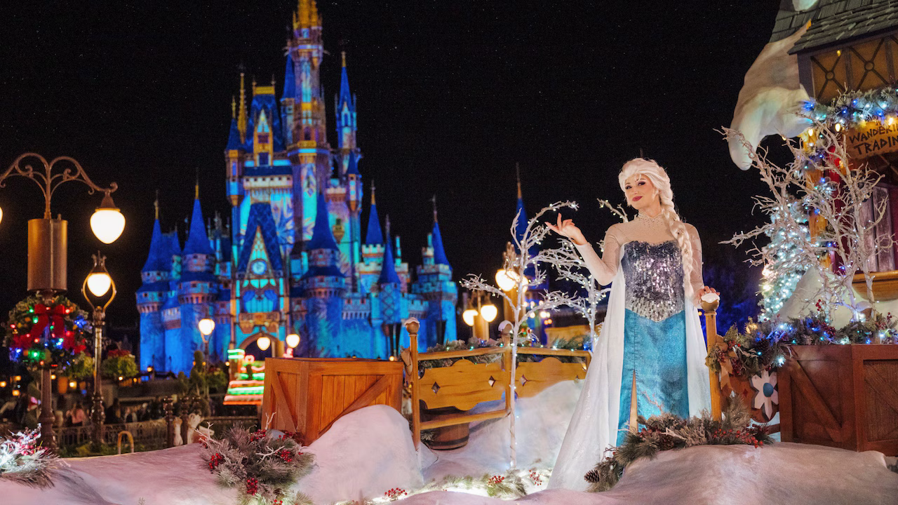 Cinderella in front of Cinderella's castle